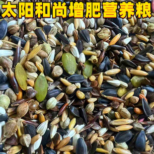 中大型鹦鹉混合粮食小阳太蜡嘴铜嘴鸟粮尚和旋风牡丹增肥营养