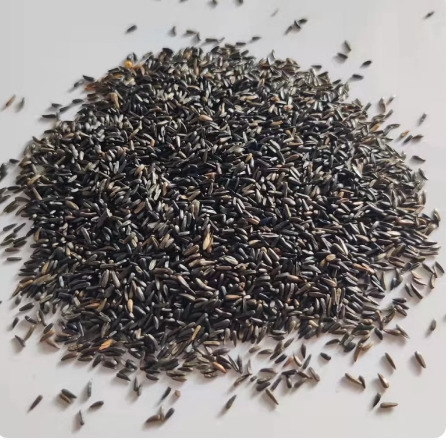 鸟食黑尖 金丝雀芙蓉鸟虎皮牡丹玄风鹦鹉鸟粮半斤