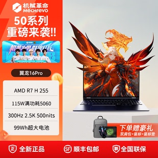 机械革命 翼龙16Pro 新款游戏本笔记本电脑AMD处理器RTX5060显卡