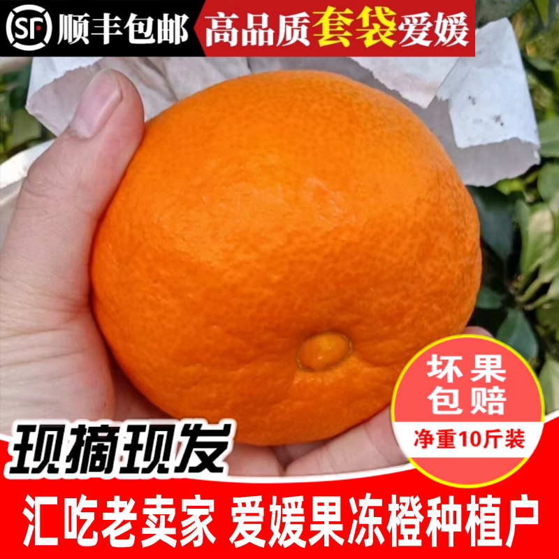 新鲜孕妇水果皮薄多汁纯甜果冻橙