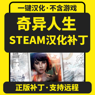 奇异人生/life is strange 中文汉化补丁 支持steam/mac/不含游戏