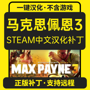 支持steam正版 马克思佩恩3 中文补丁汉化包 Payne3 不含游戏 Max