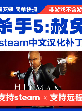 杀手5:赦免/Hitman: Absolution中文汉化补丁 支持steam 不含游戏