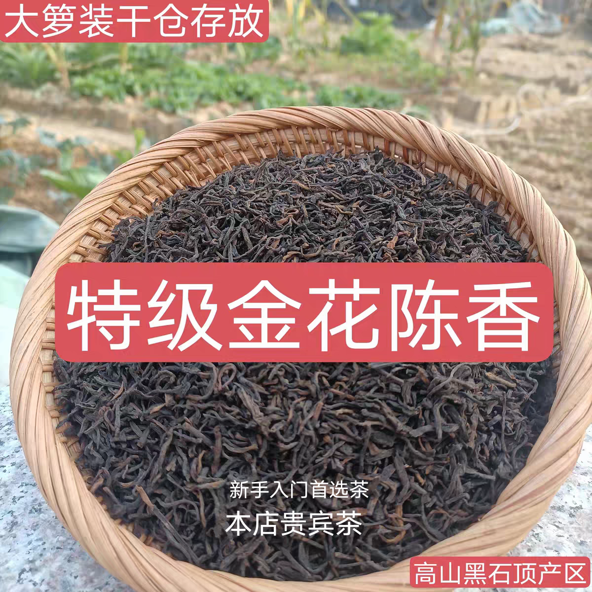 老六堡熟茶2011年陈桂青种金花陈香特品级料黑石顶品质