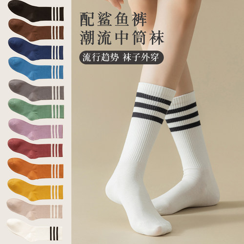 袜子女春秋纯棉配鲨鱼裤长袜