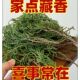 正宗藏香柏新鲜枝叶家用天然净化松柏叶藏地树枝煨桑烟供火柏香枝