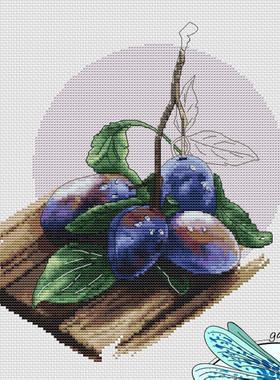 弹弹十字绣 自配DMC线/R线十字绣套件 非印花 D0412黑布林