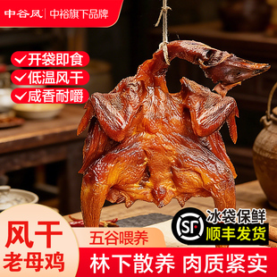 中谷凤风干鸡500g整只手撕五香腊鸡开袋即食山东特产腊味年货熟食