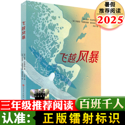 2025暑假百班千人三年级 飞越风暴 (意)圭多·巴达萨利 著 三年级课外书小学生课外阅读书籍儿童文学读物寒假暑假经典书目
