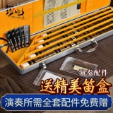 Высококлассный профессиональный комплект, музыкальные инструменты, 5 шт, подходит для начинающих