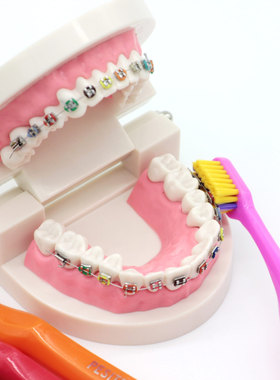 德国刷丝正畸牙刷U型矫正牙齿牙套专用整牙送便携保护罩软毛凸型