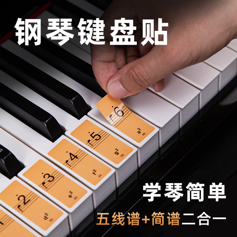 钢琴配件通用彩色贴纸88键61电子琴按键盘音标贴音符不粘五线简谱