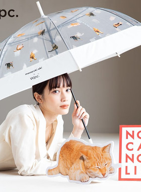 wpc雨伞透明长柄加大加厚加固果冻伞小巧便携萌宠猫咪三折伞手动