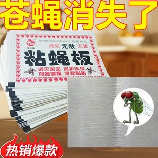 强力粘家用灭蝇粘蝇板沾手蚊苍蝇贴苍蝇蝇杀器纸子一扫光神器捕捉