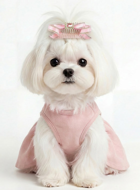 甜美小型犬幼犬蝴蝶结发饰
