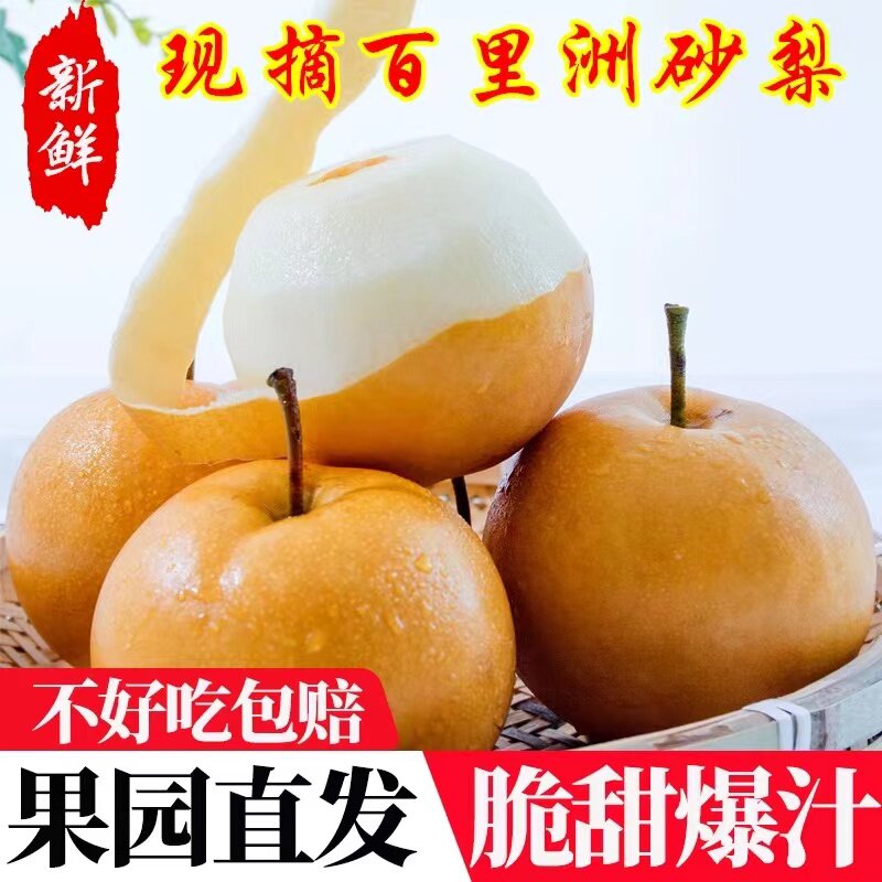 百里洲砂梨正宗翠冠梨脆甜无渣