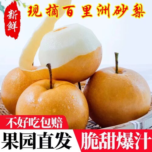 百里洲砂梨正宗翠冠梨脆甜无渣