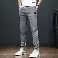 Светло -серая рутина