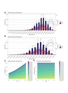 GBD nhanes CHARLS MIMIC MR数据库代分析可全包医学sci生信分析