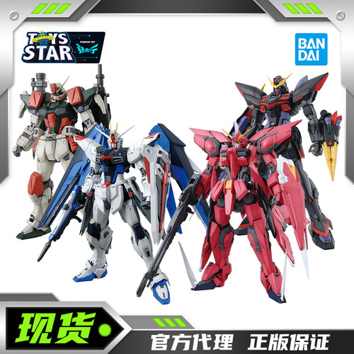 万代拼装模型MG1/100高达SEED