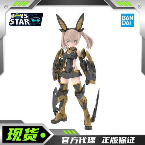 万代30MS提亚斯纯真型机