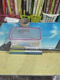 顺信C173长方形小密封条塑料保鲜盒不含双酚A食品级满39包邮