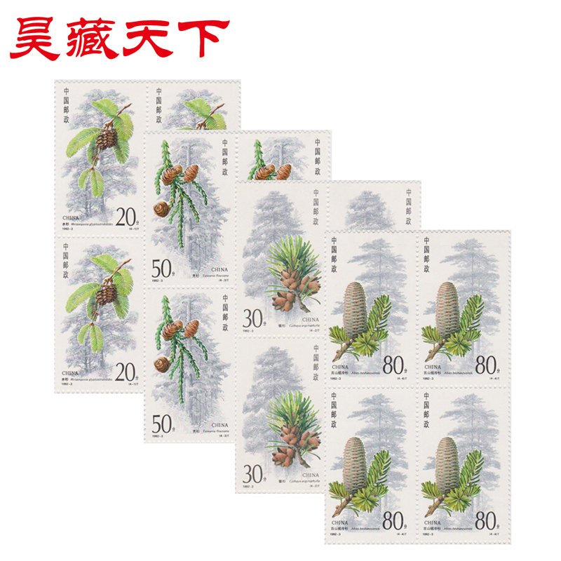 杉树四方连邮票