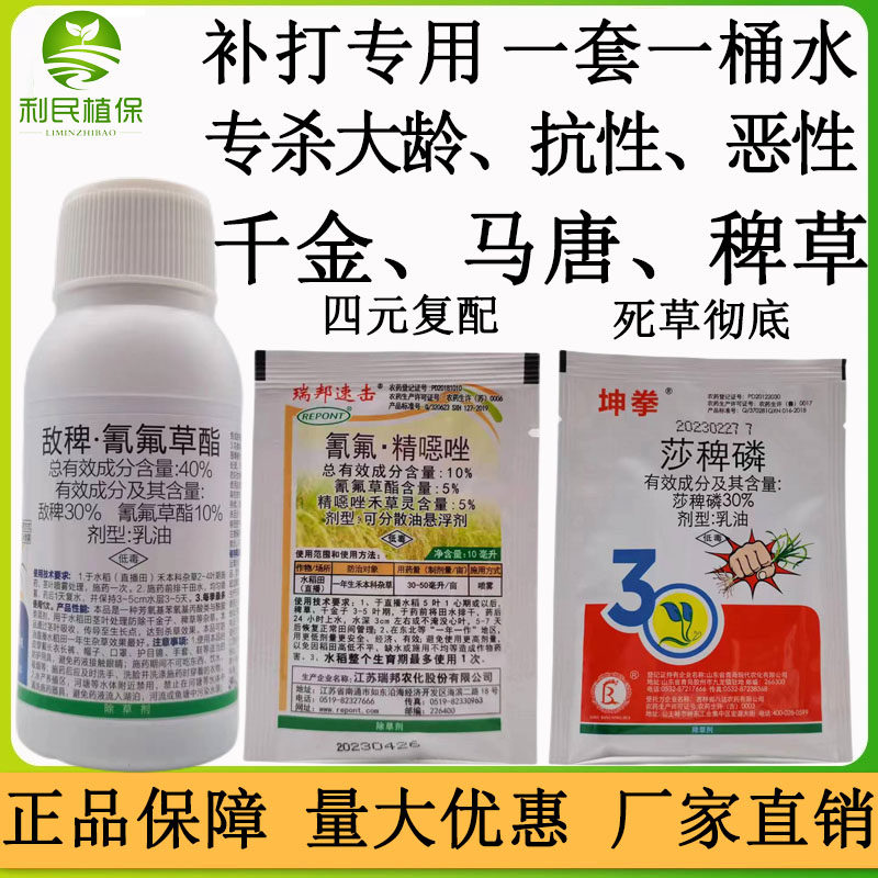 敌稗氰氟草酯水稻旱稻苗后除草剂大龄稗草千金马塘抗性稗草除草剂