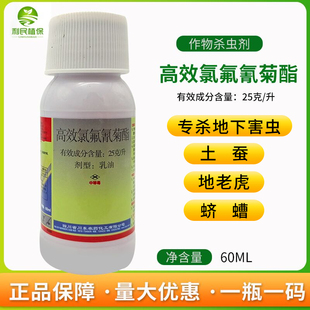 地下害虫杀虫剂大豆玉米花生土蚕药地老虎杀高效氯氟氰菊酯喷雾