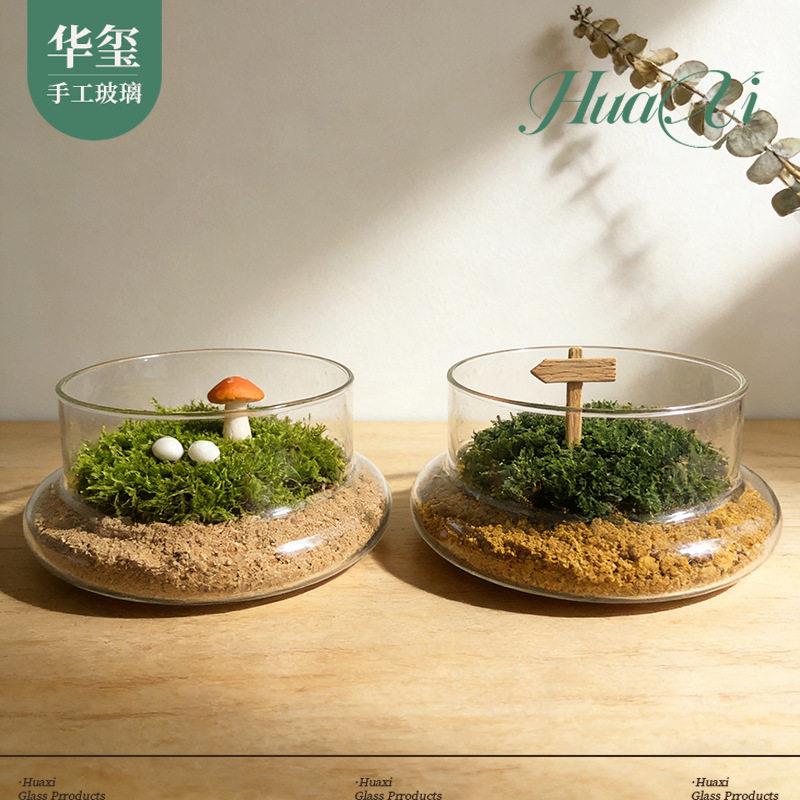 微景观玻璃器01趣味植物生态肉创意多植物藓造景花盆手工d容i苔y