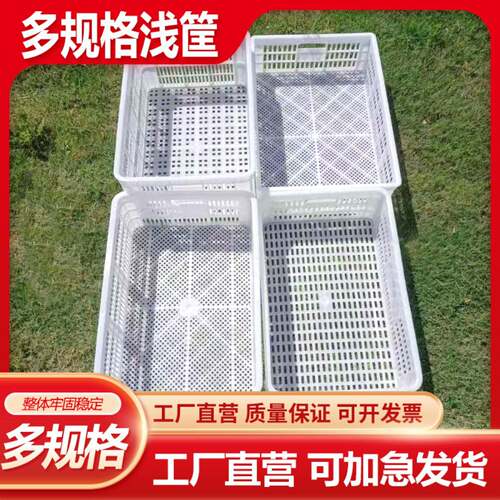 加厚塑料周转筐塑料筐冷库速冻筐