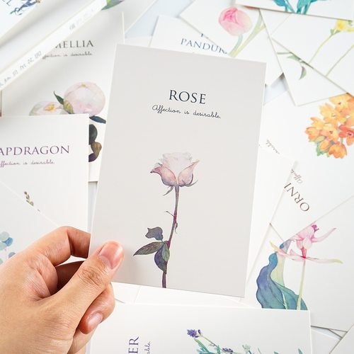 盒装手绘植物道具明信片