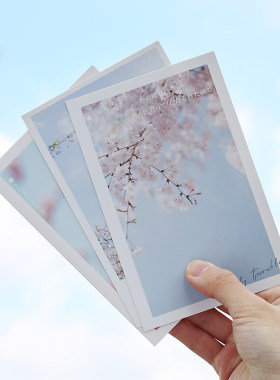 唯美风日式盛开樱花粉恋人明信片