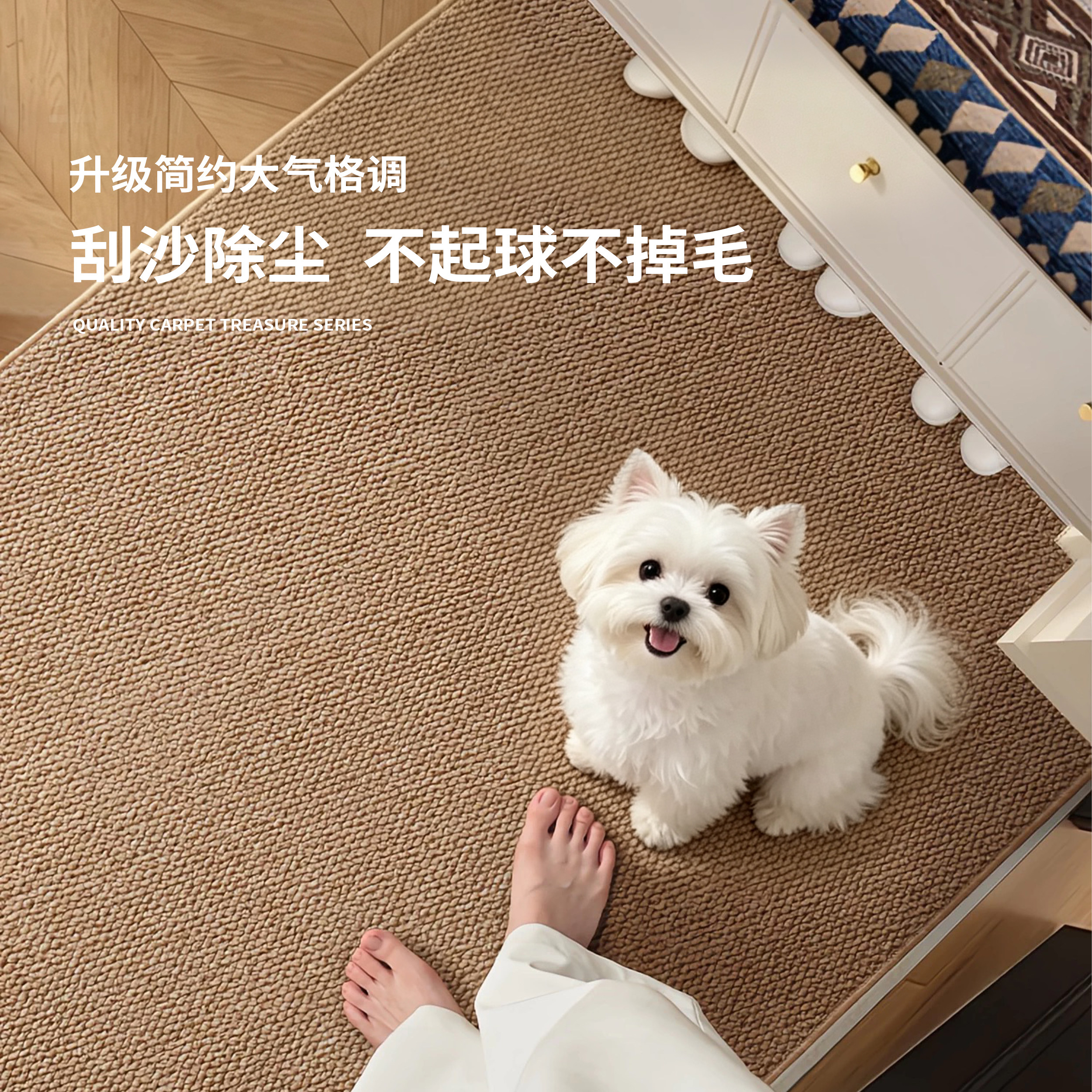 仿剑麻入户防滑耐脏可裁剪门垫图片