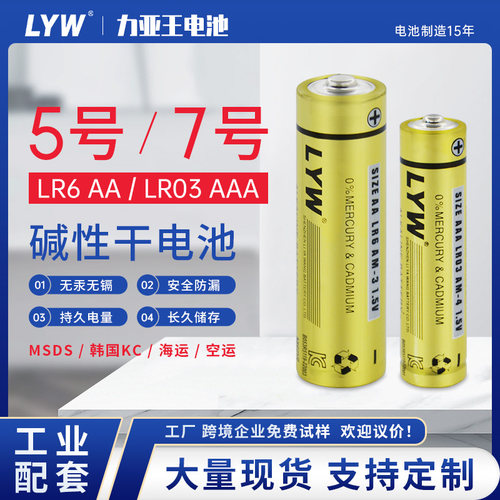 智能锁适用5号碱性电池LYW电子锁