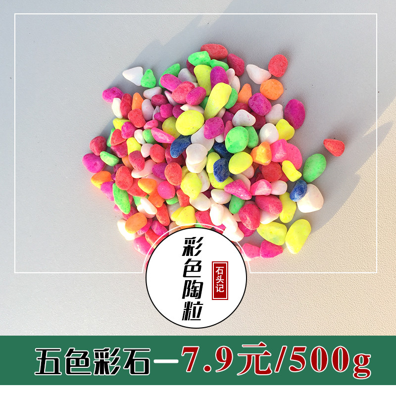 家庭园艺用品 石子五彩石 七彩色小石子花盆栽装饰500g包邮