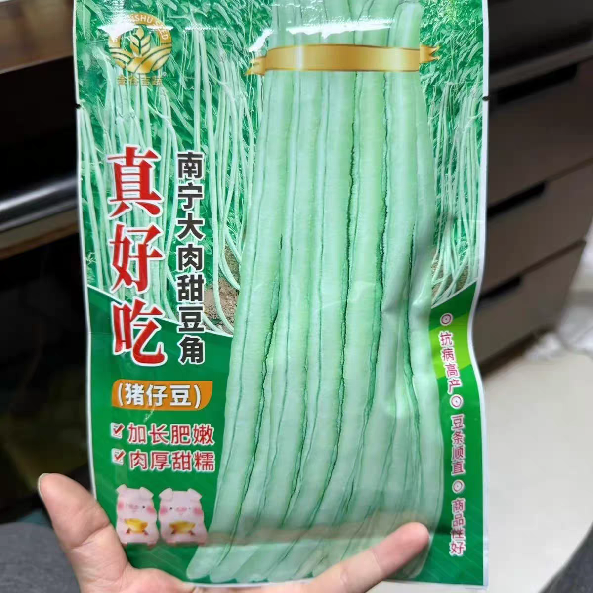 金蔬正宗黑籽南宁大肉甜豆角猪仔豆加长肥嫩肉厚甜糯大肉豆角种籽