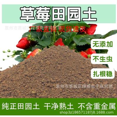 草莓田园土种植专用土纯天然沙土黄土菜园土绿植黑土种树有机肥