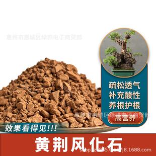 黄荆风化石过滤石易存活透气生根红细土扦插土盆栽土养花绿植酸性