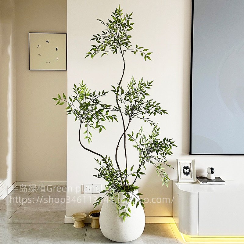 南天竹大型盆栽南天竺老桩绿植高级感客厅室内树办公室旺宅真植物,鲜花速递/花卉仿真/绿植园艺,大型绿植/成品组合盆栽,淘宝优惠券,粉丝福利购,淘宝优惠卷