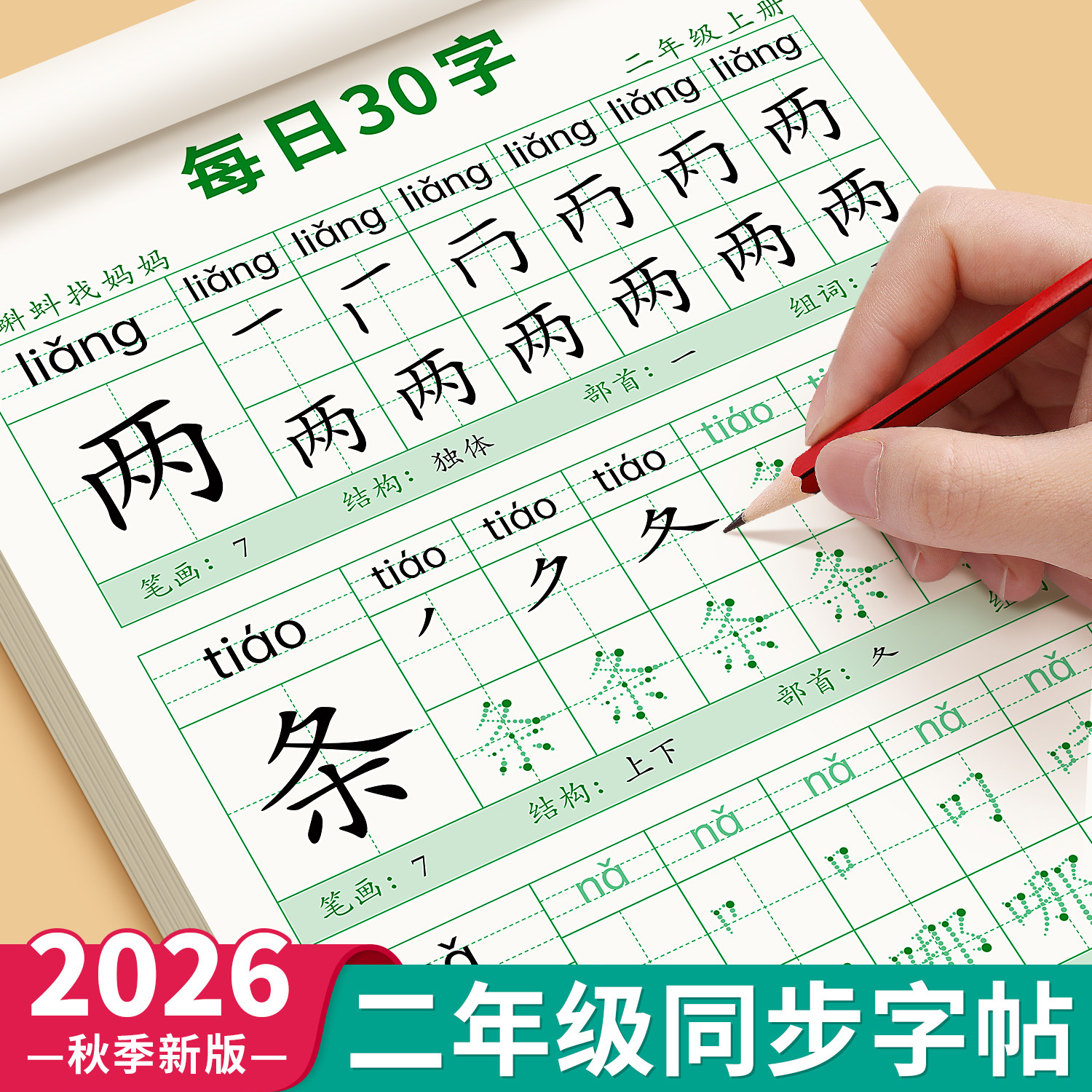 2026新版二年级练字帖上册下册人教版语文课本同步字帖小学生2年级每日30字正楷练字专用每日一练初学者神器汉字笔画笔顺本写字帖