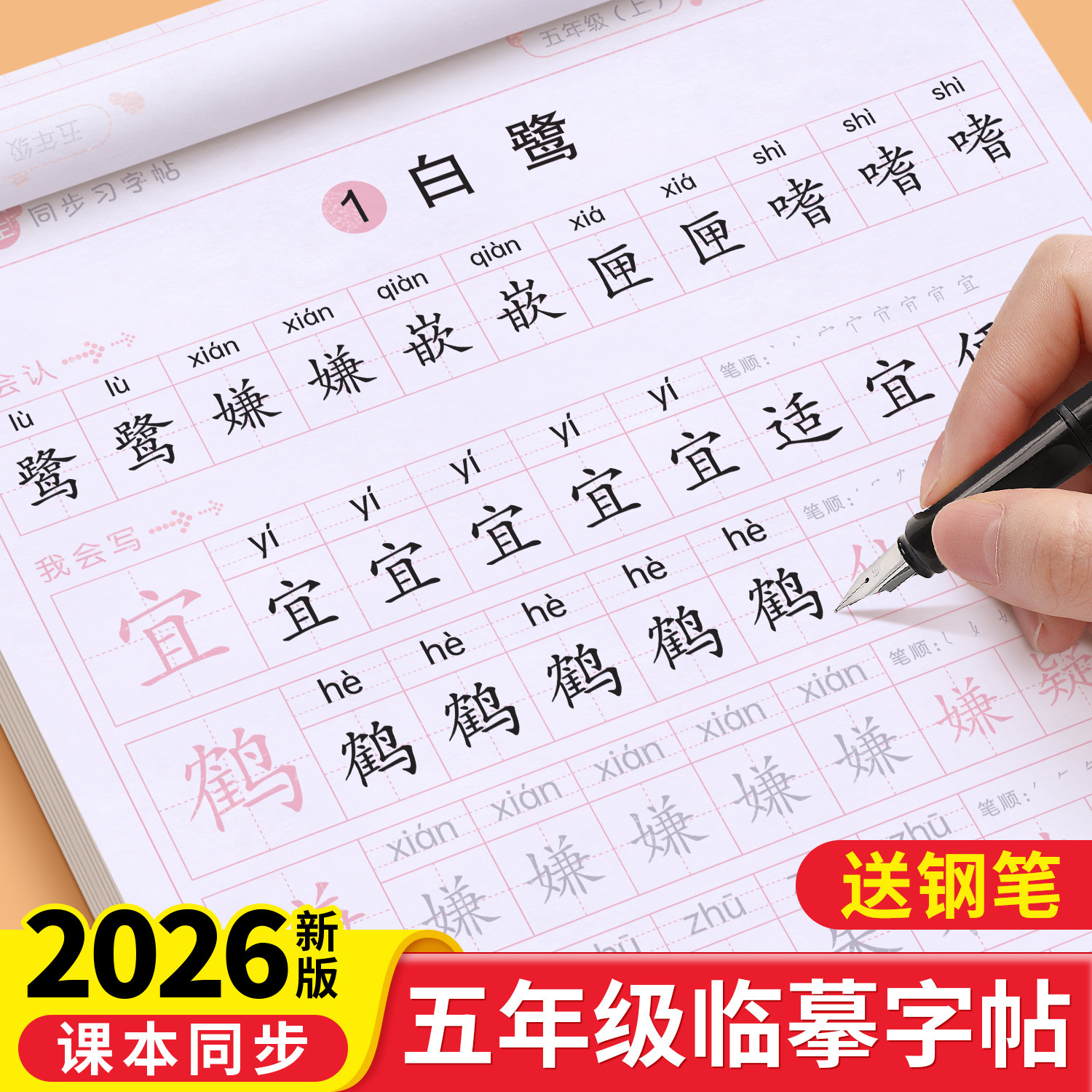 五年级语文字帖上册下册钢笔练字帖人教版英语课本同步生字初学5楷书小学生硬笔书法临摹练字本每日一练笔画笔顺正楷写字贴初学者