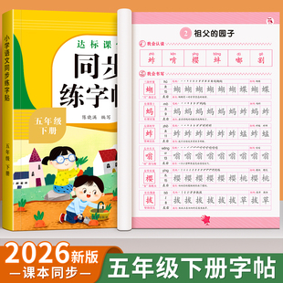 五年级下册同步练字帖语文人教版小学生专用字帖拼音生字词描红课本字帖写字课课练5年级下学期同步练习字帖部编教材练字每日一练