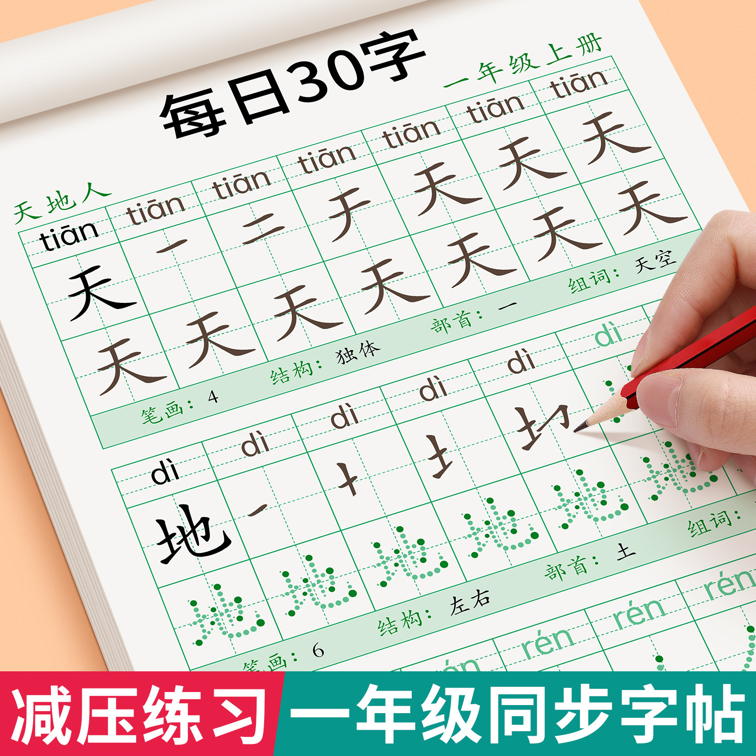 一年级同步练字帖小学生专用字帖上册下册每日30字人教版语文课本生字减压笔画笔顺描红练字本每日一练硬笔书法控笔训练入学必备