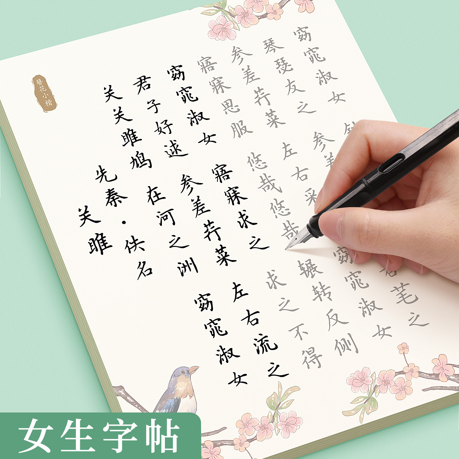 字帖成人练字楷书练字帖成年女生字体漂亮簪花小楷大气大学生钢笔硬笔书法练字本初中生男生临摹初学者专用每日一练速成练习写字贴_虎窝淘