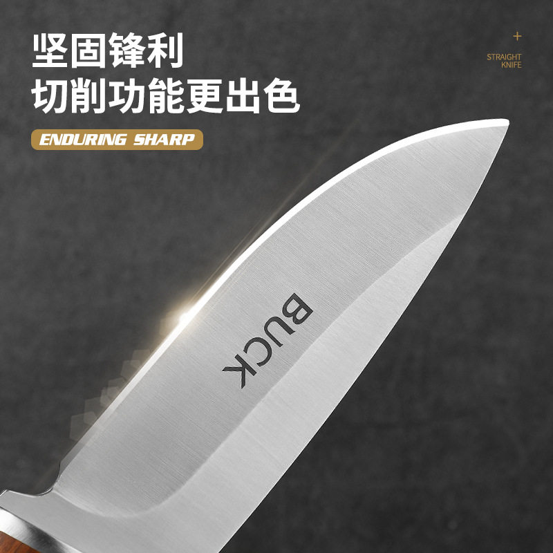 高档特殊用途刀具分割肉刀切肉快刀水果刀野外户外小刀冷兵器