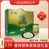 河南洛阳偃师特产银条菜礼盒年货礼品凉拌菜特色菜送礼500克8瓶装