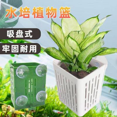 鱼缸挂壁定植篮水草固定神器水培底座吸盘式种植篮造景养鱼花装饰
