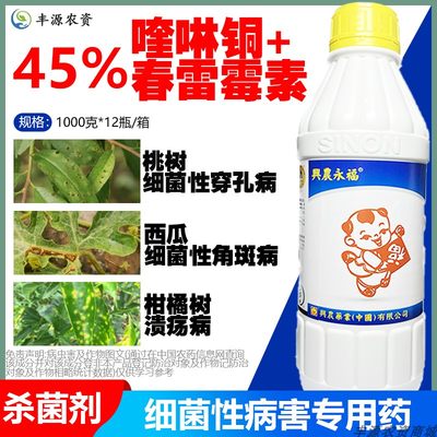 杀菌剂兴农细菌性角斑病喹啉铜