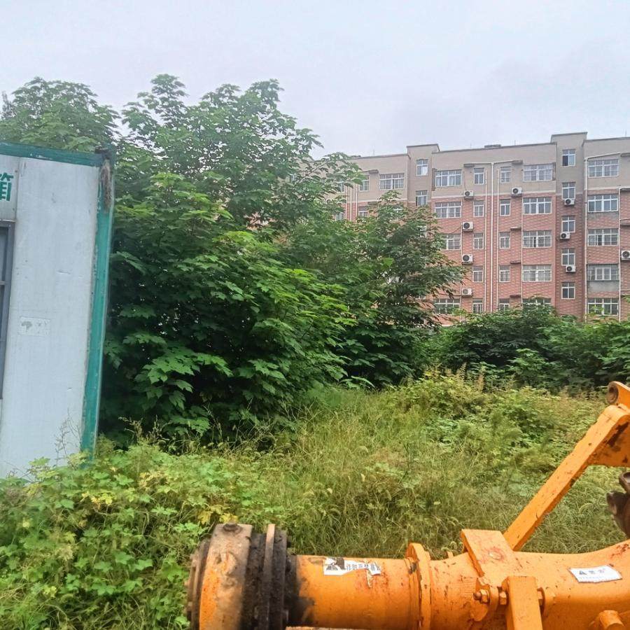 2月25日漯河解放路土地一宗及该宗土地上的附属物（无证）网络拍卖公告